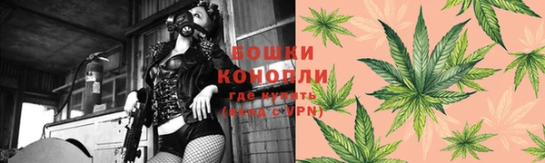 бошки Пестово