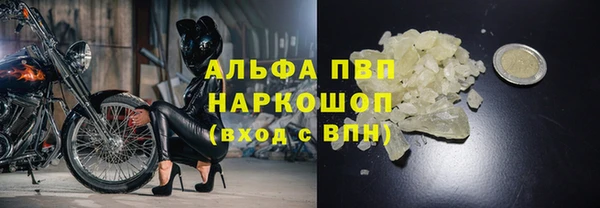 дурь Пересвет