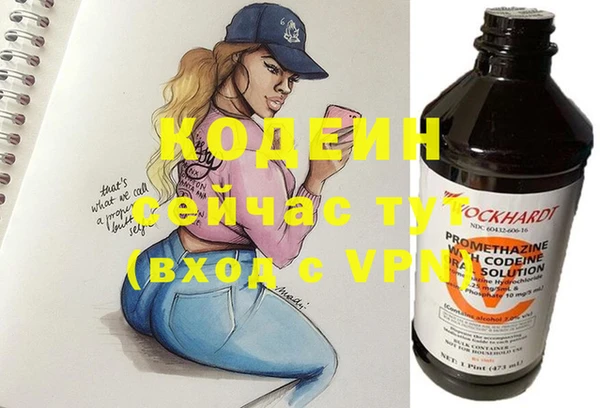 дурь Пересвет